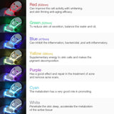 LED Photon Therapy Facial Mask